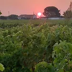 Au Coeur Des Vignes